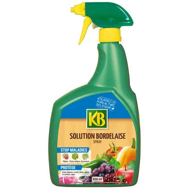 Bordeaux Solution Spray – Ready-to-Use Fungicide – 800 ml
