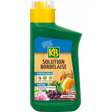 Concentrated Bordeaux Solution – Natural Fungicide – 750 ml