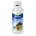 Insecticide Systémique Pour Cultures Contre Insectes Suceurs