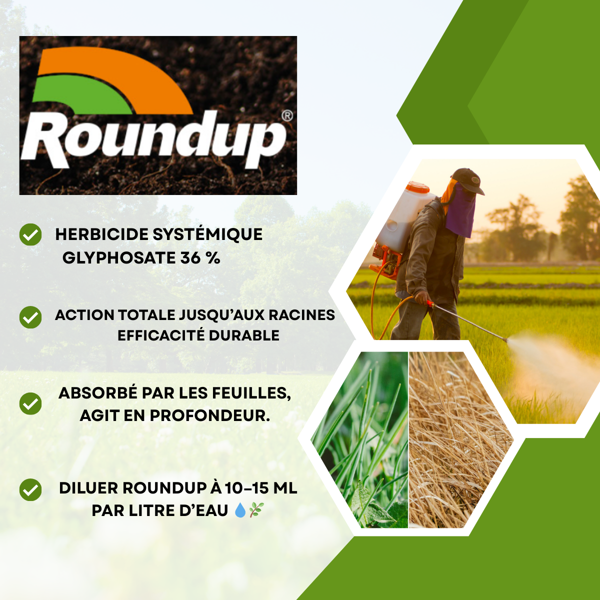 Herbicide Systémique Total à Base de Glyphosate pour Entretien des Cultures et Espaces Verts